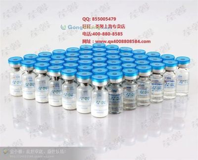 河源市委老干部局 傳承紅色基因，服務銀發群體的重要力量